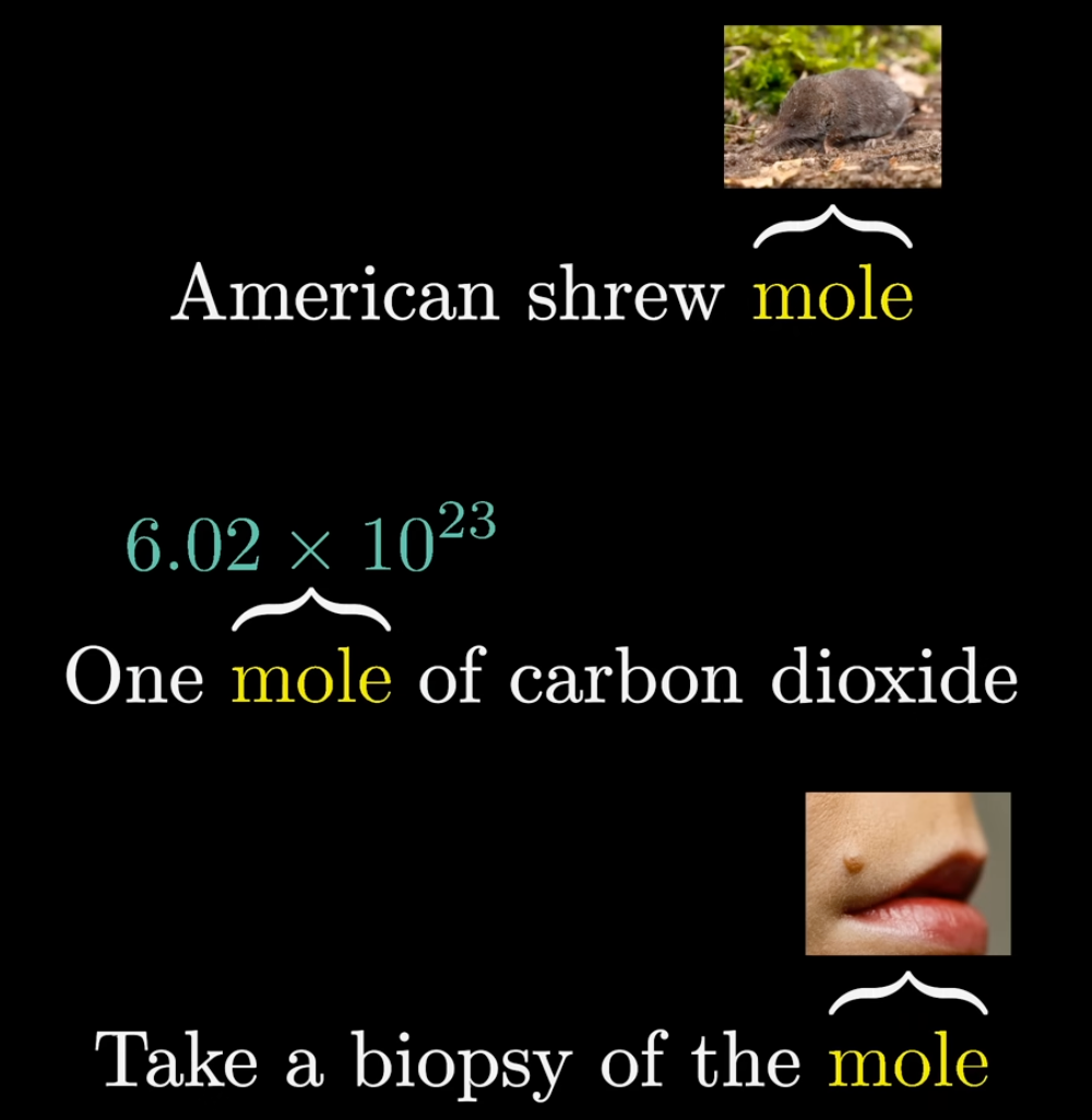 The word "mole" in three different contexts
