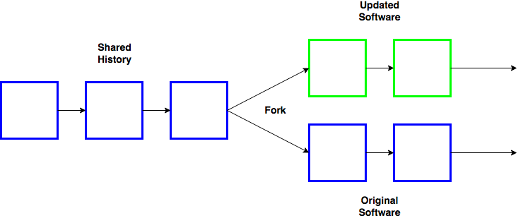 Software Fork Diagram